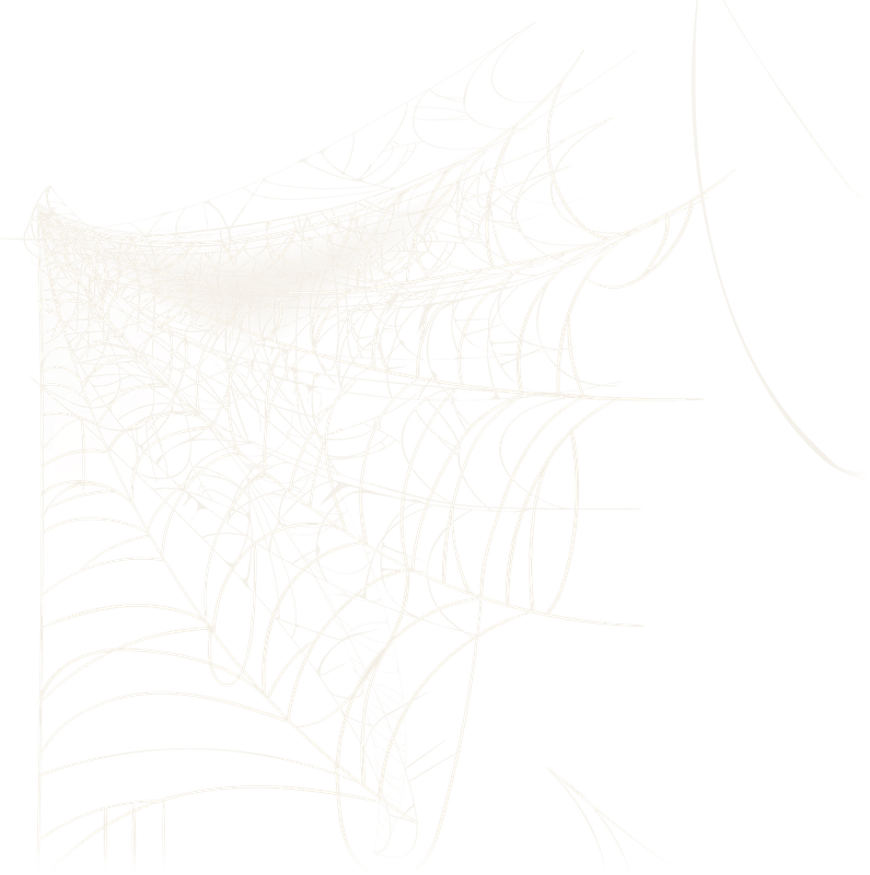 Realistic Spiderweb